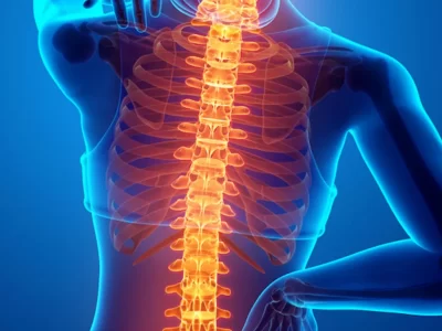 Welcome To Ayush Joint – Best Joint Pain Medicines Oil and Capsules Welcome To Ayush Joint - Best Joint Pain Medicines Oil and Capsules
